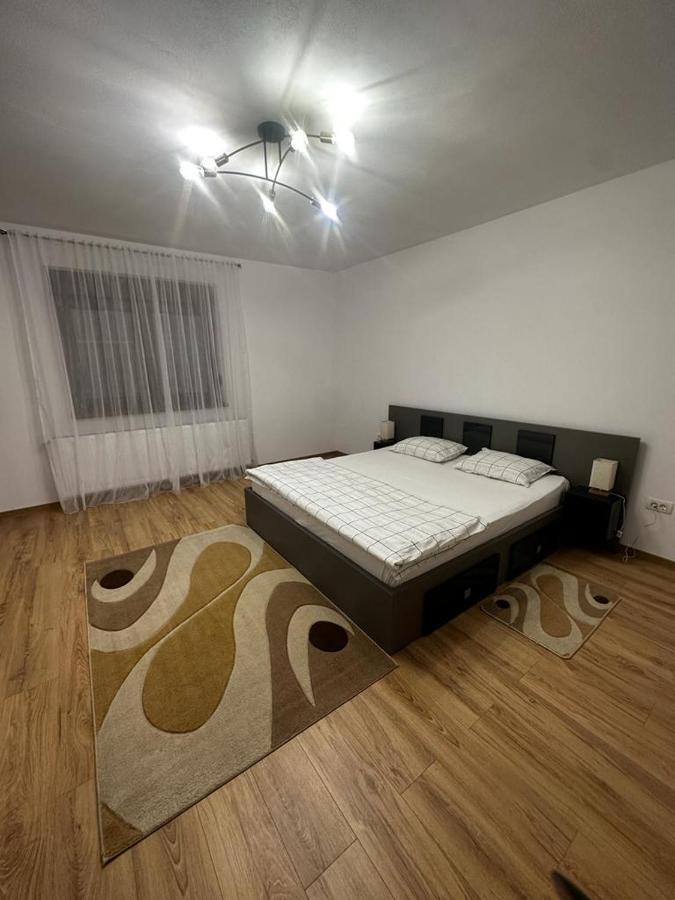 Emanuela Apartments Pecica Zewnętrze zdjęcie