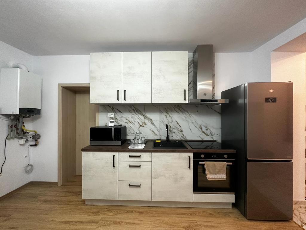 Emanuela Apartments Pecica Zewnętrze zdjęcie