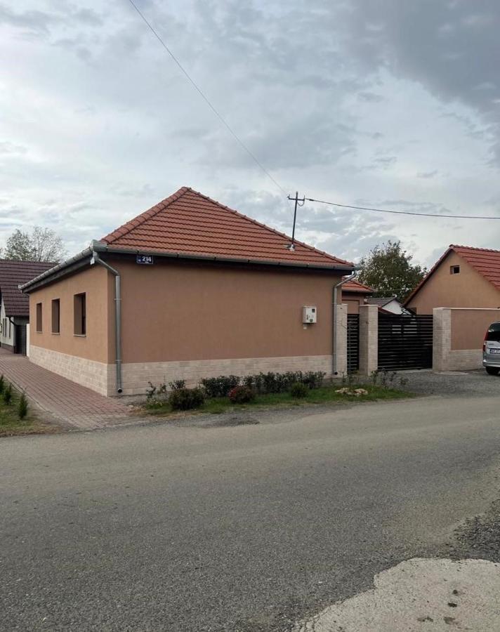 Emanuela Apartments Pecica Zewnętrze zdjęcie