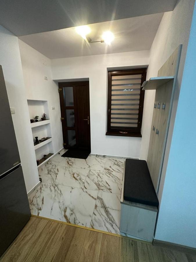 Emanuela Apartments Pecica Zewnętrze zdjęcie